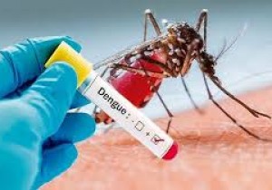 Thông báo chào giá các mặt hàng Test nhanh năm 2025-2026 tại Bệnh viện Đa khoa khu vực miền núi phía Bắc Quảng Nam